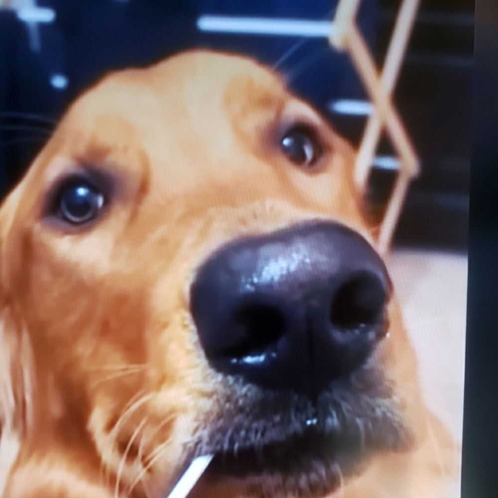 Meet your Posher, Brian